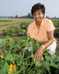 Woman kneeling in vegetable crop.