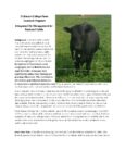 cover for Fly IPM Fact Sheet for Pastured Cattle guide