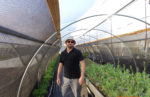 Farmer Will Mastin standing in his high tunnel.