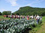 Susan Scheufele gives field tour on farm