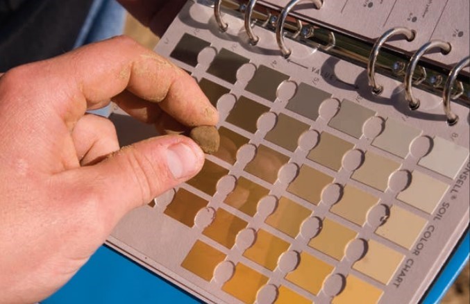 A hand holds a small soil sample up to a chart with various colors indicating soil type