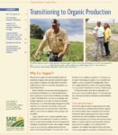 transitioning to organic production guide