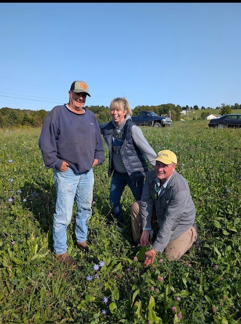 Three people in a field full of cover crops