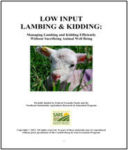 Cover of Low Input Lambing and Kidding with a picture of a baby lamb