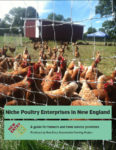 Chickens behind a wide netting fence, with the title "Niche Poultry Enterprises In New England"