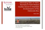 Report from Rutgers of minimizing bacteria in the Delaware Bay Cover page with a picture of the Delaware bay and two people cleaning